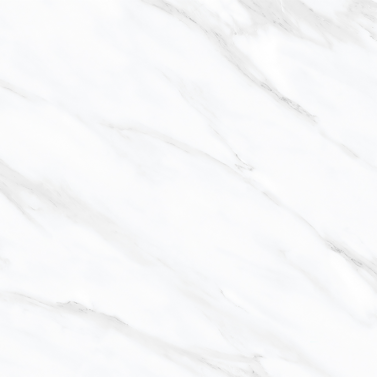 Carrara White Polished Tile