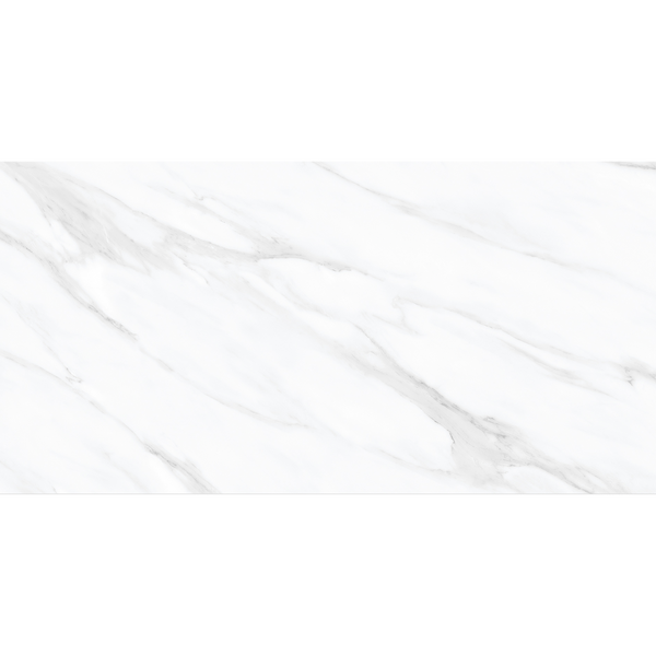 Ambience-Carrara Carrara White Polished Tile