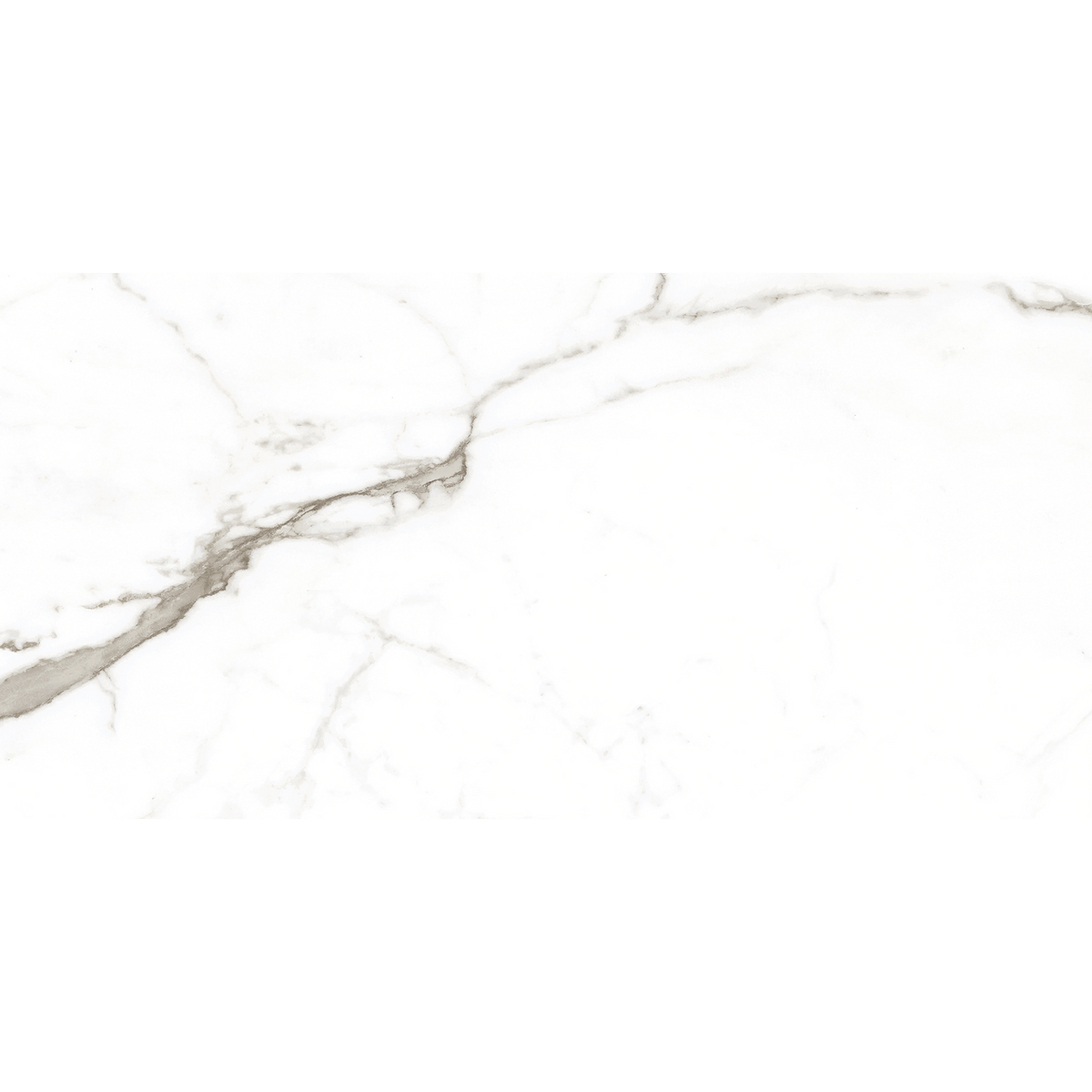 Calacatta White Polished Tile