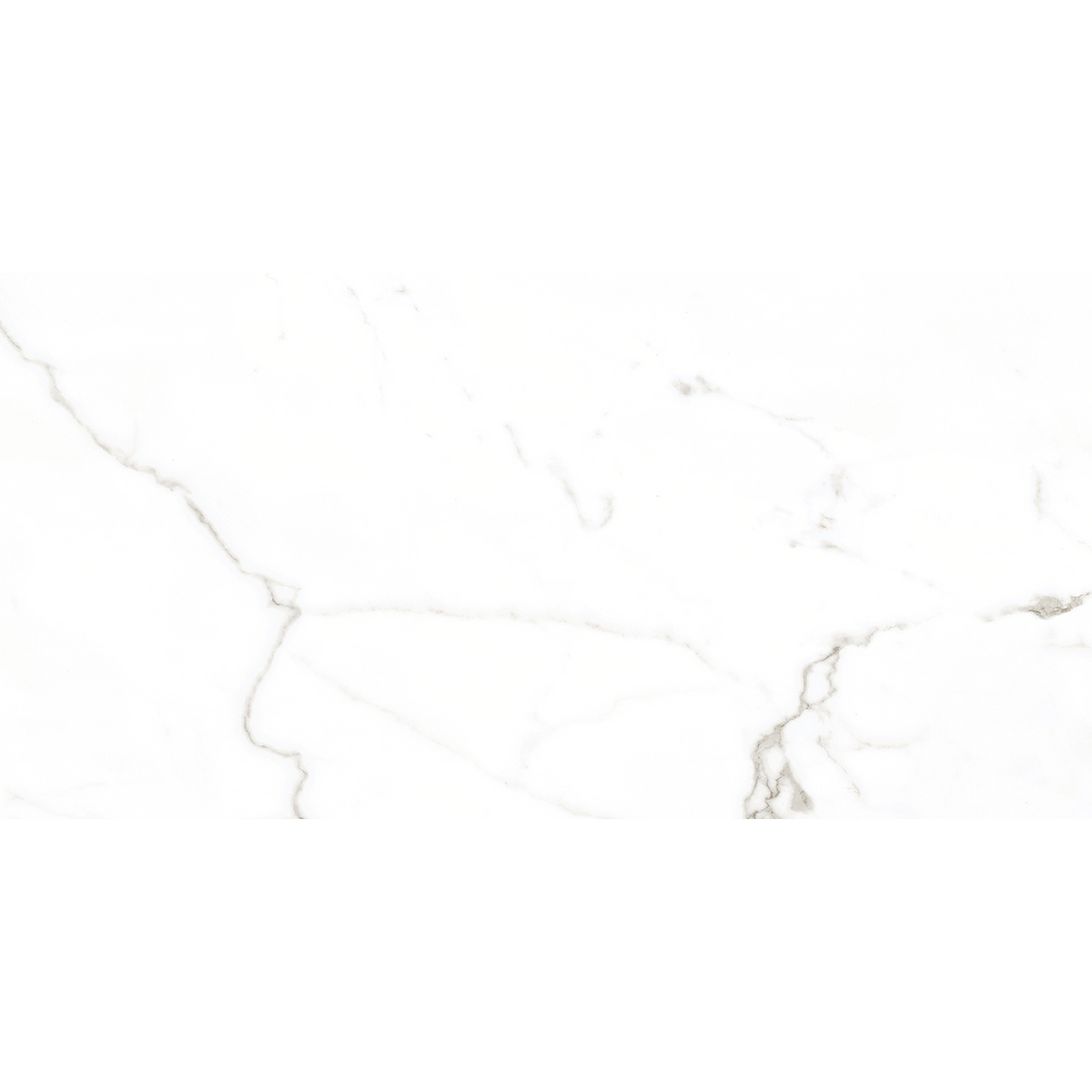 Calacatta White Polished Tile