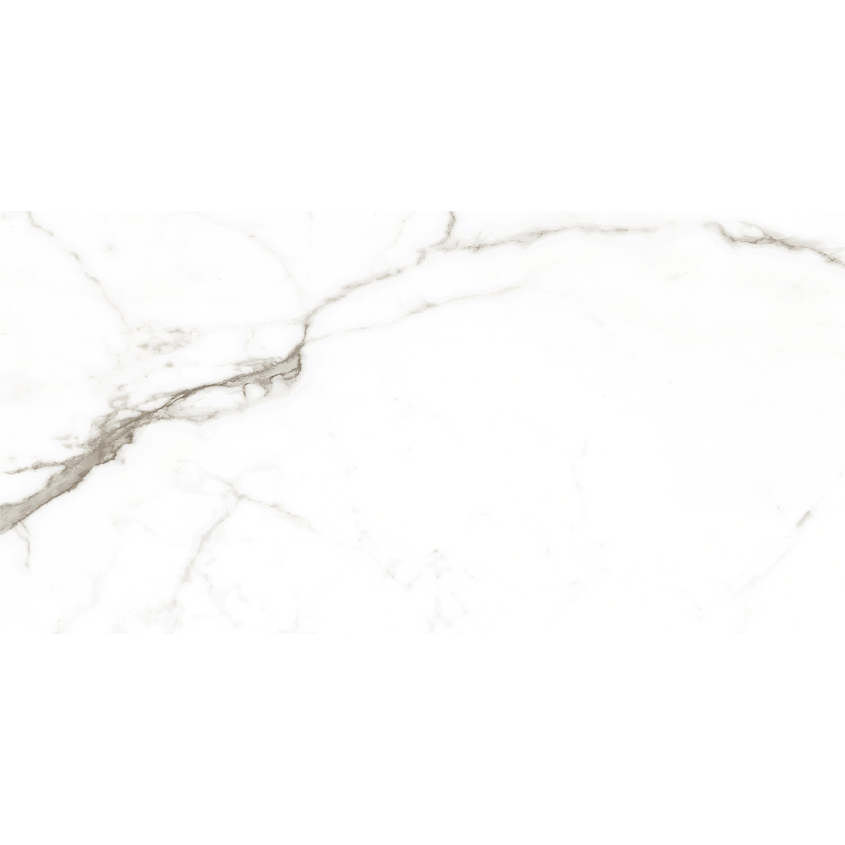 Calacatta White Polished Tile