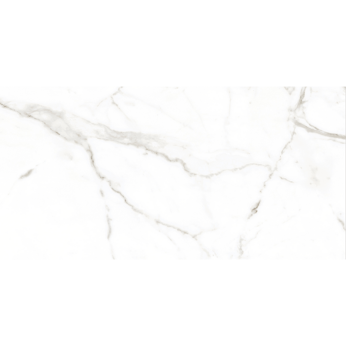 Calacatta White Polished Tile