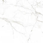 Calacatta White Polished Tile