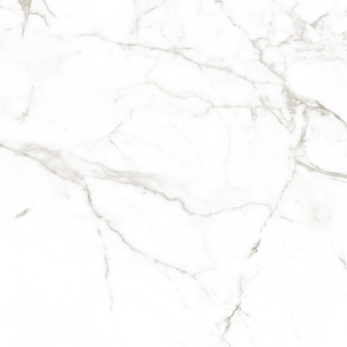 Calacatta White Polished Tile
