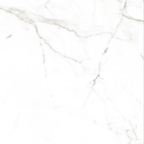 Calacatta White Polished Tile