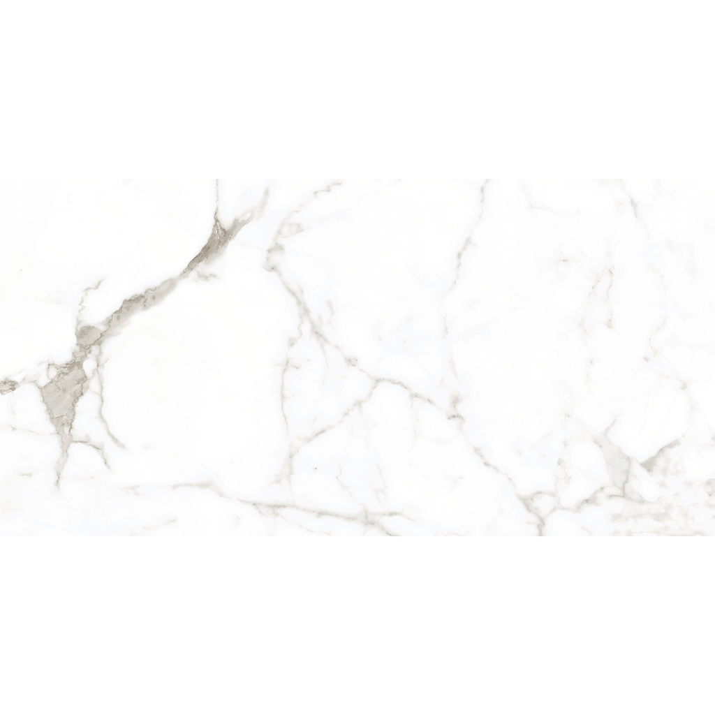 Ambience-Calacatta Calacatta White Matt Tile