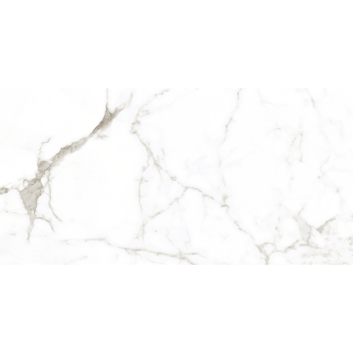 Ambience-Calacatta Calacatta White Matt Tile