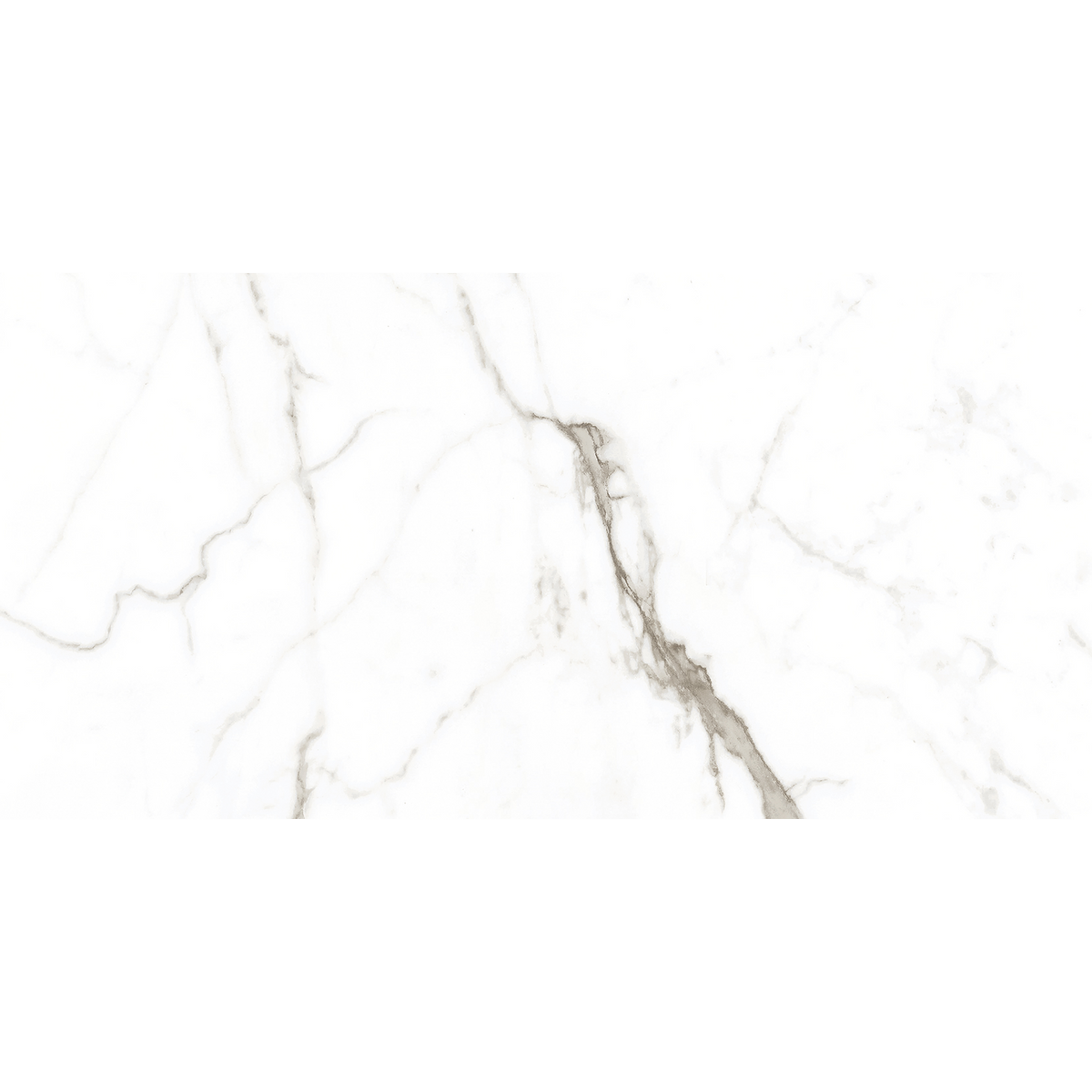 Calacatta White Matt Tile