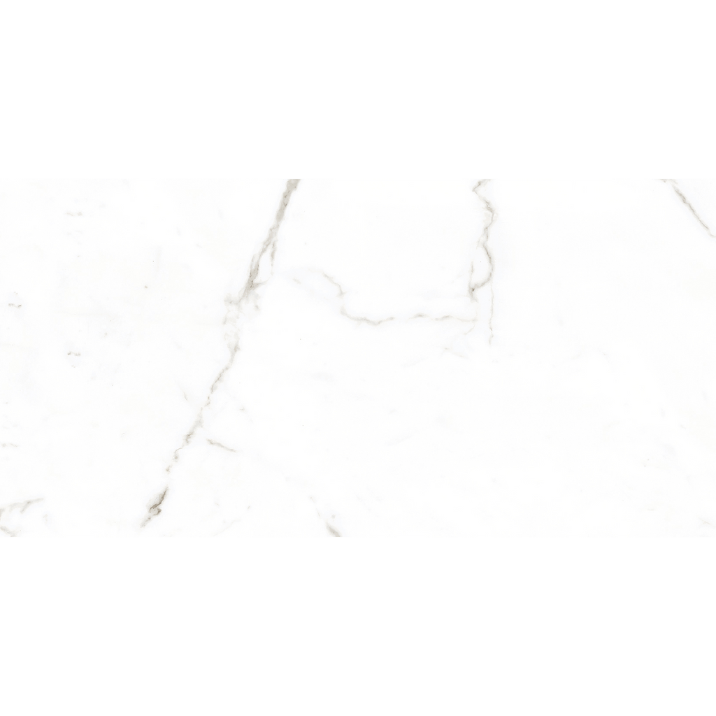 Calacatta White Matt Tile