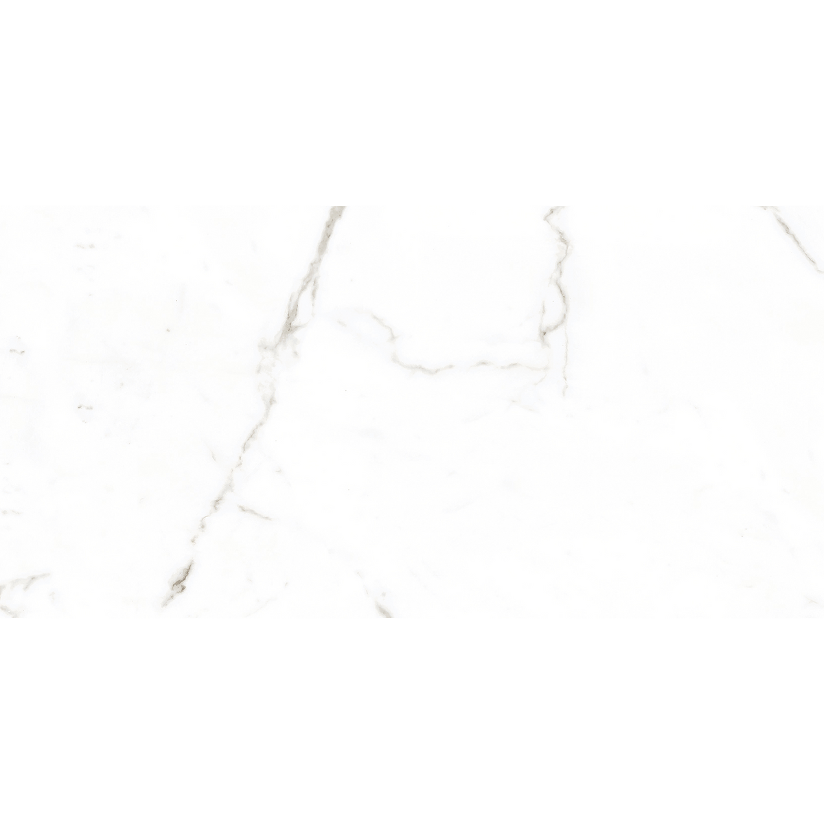 Calacatta White Matt Tile