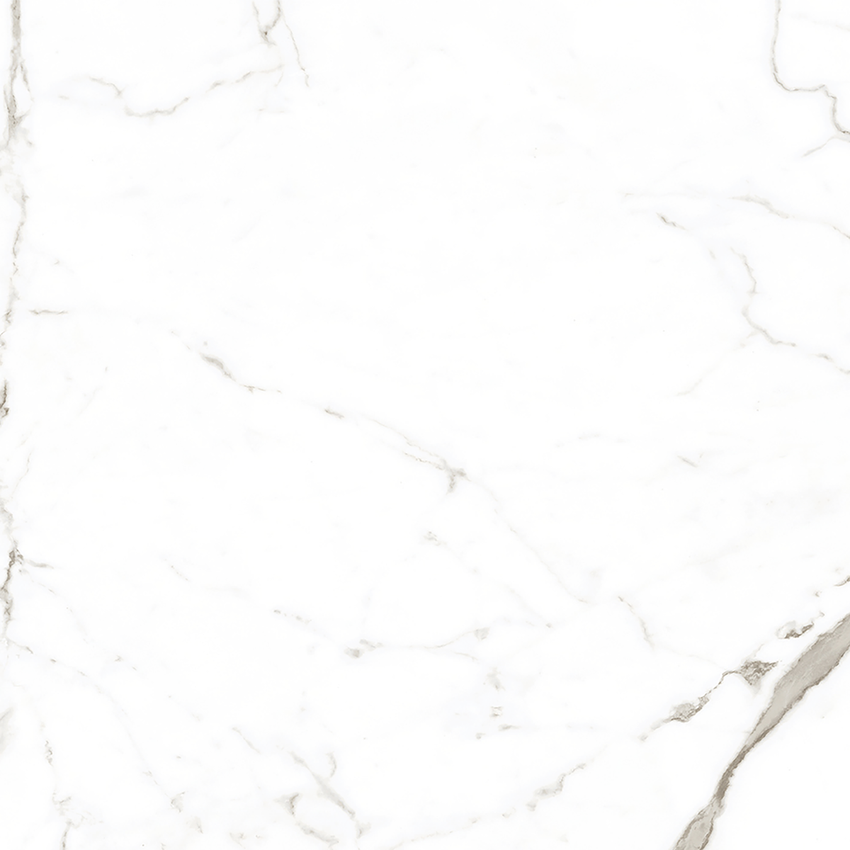 Ambience-Calacatta Calacatta White Matt Tile