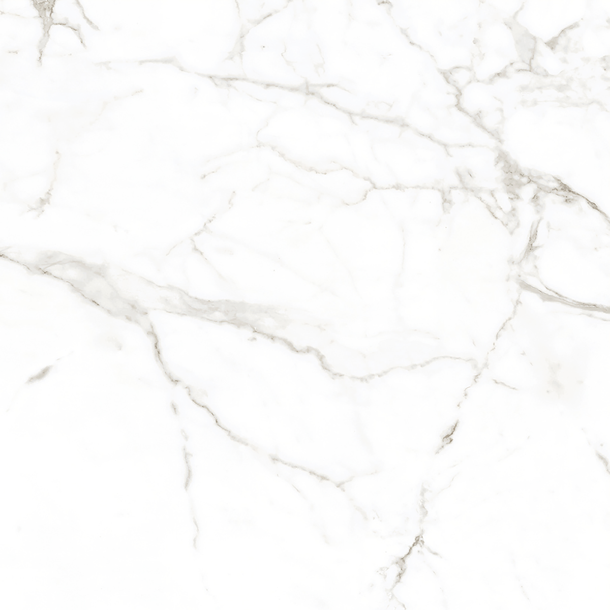 Calacatta White Matt Tile