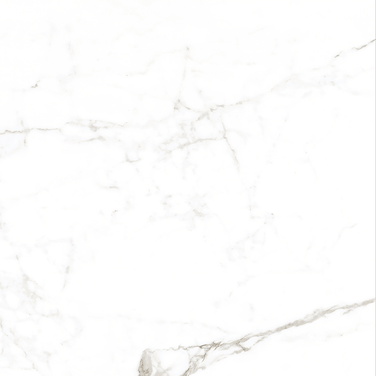 Calacatta White Matt Tile