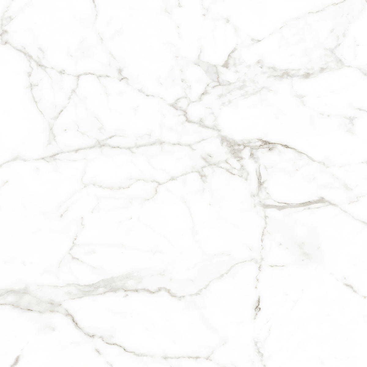 Calacatta White Matt Tile