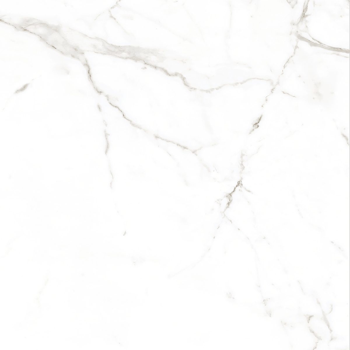 Calacatta White Matt Tile