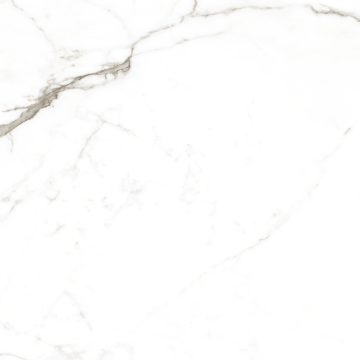 Calacatta White Matt Tile