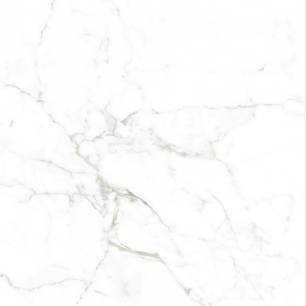 Calacatta White Matt Tile