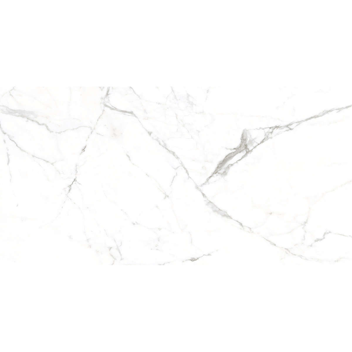 Carrara White Polished Tile Sample