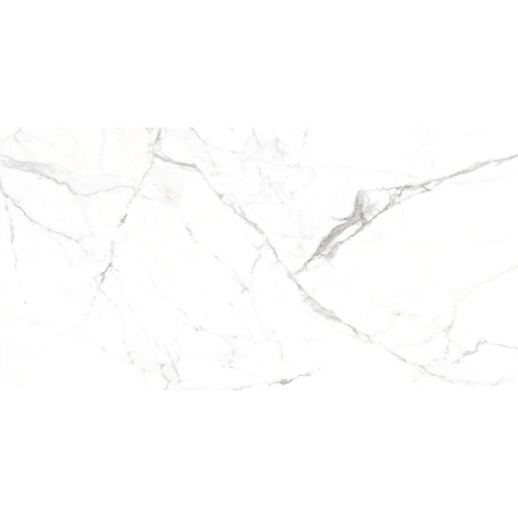 Ambience-Calacatta Calacatta White Polished Tile