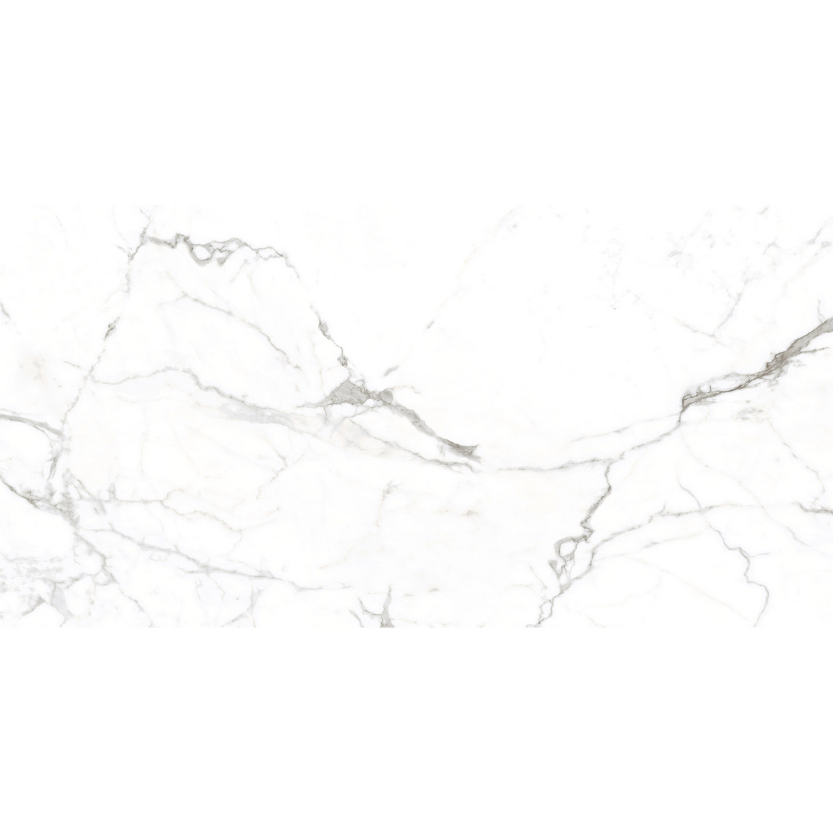 Calacatta White Polished Tile