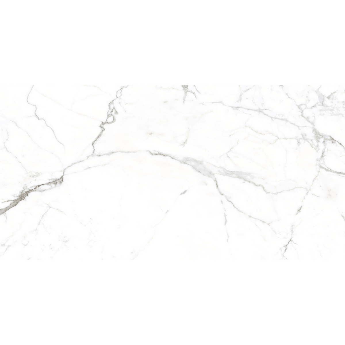 Calacatta White Polished Tile