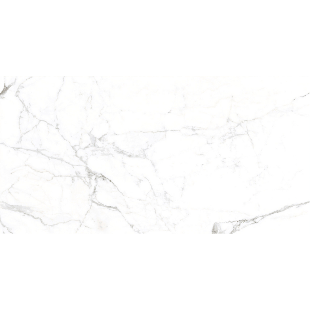 Calacatta White Polished Tile