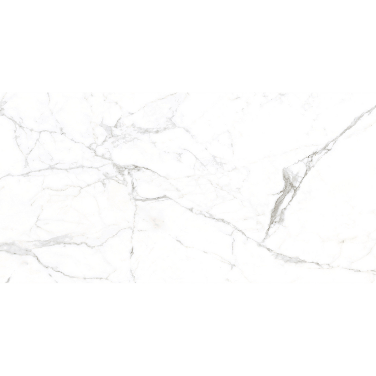 Calacatta White Polished Tile