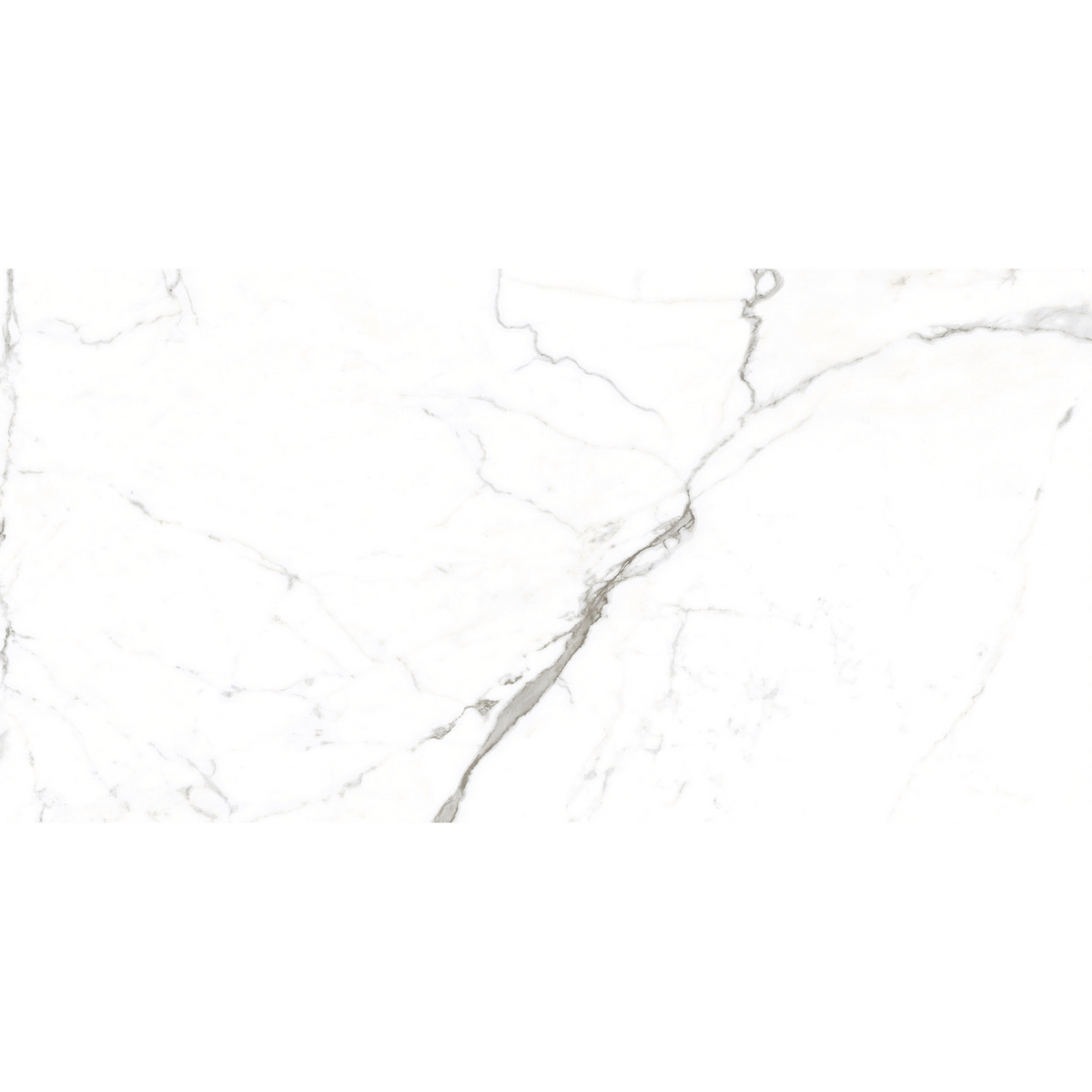 Calacatta White Polished Tile