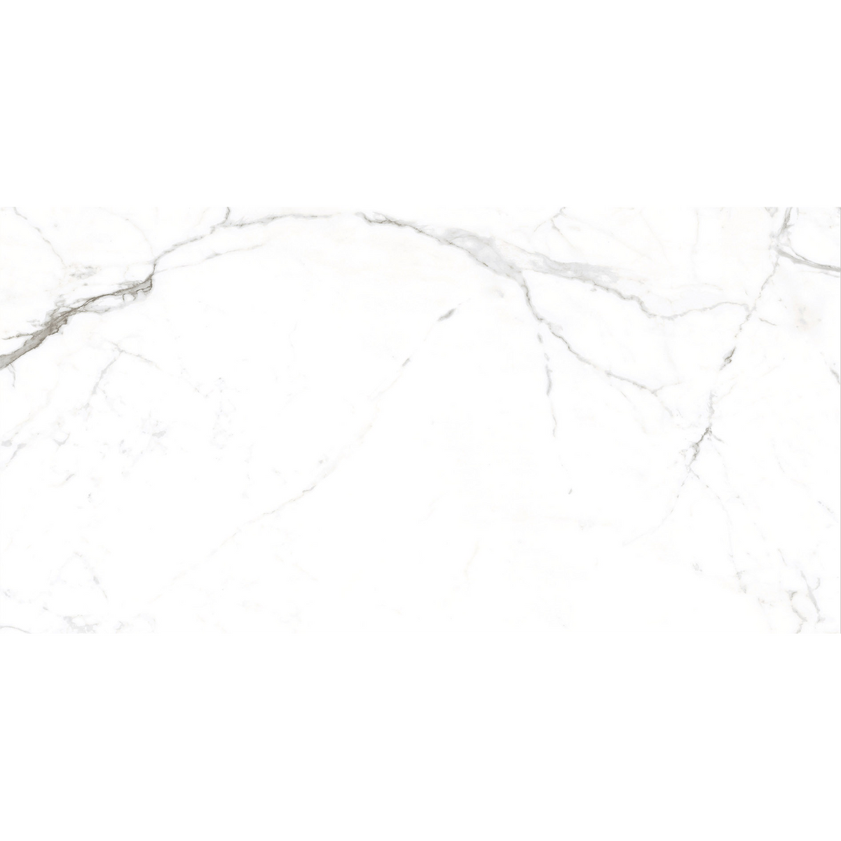 Calacatta White Polished Tile