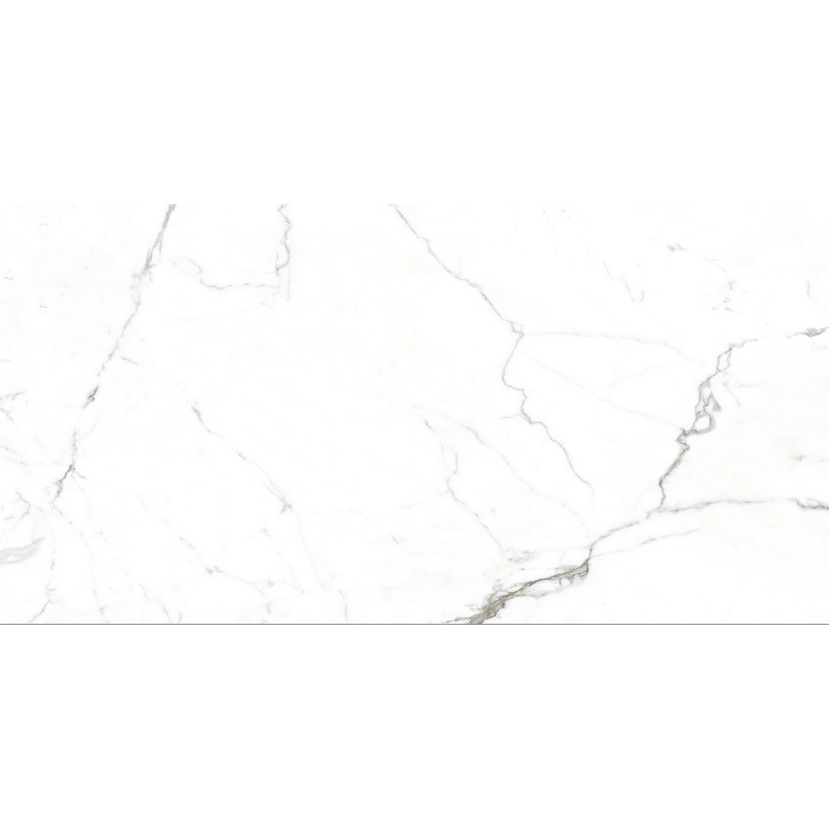 Calacatta White Polished Tile