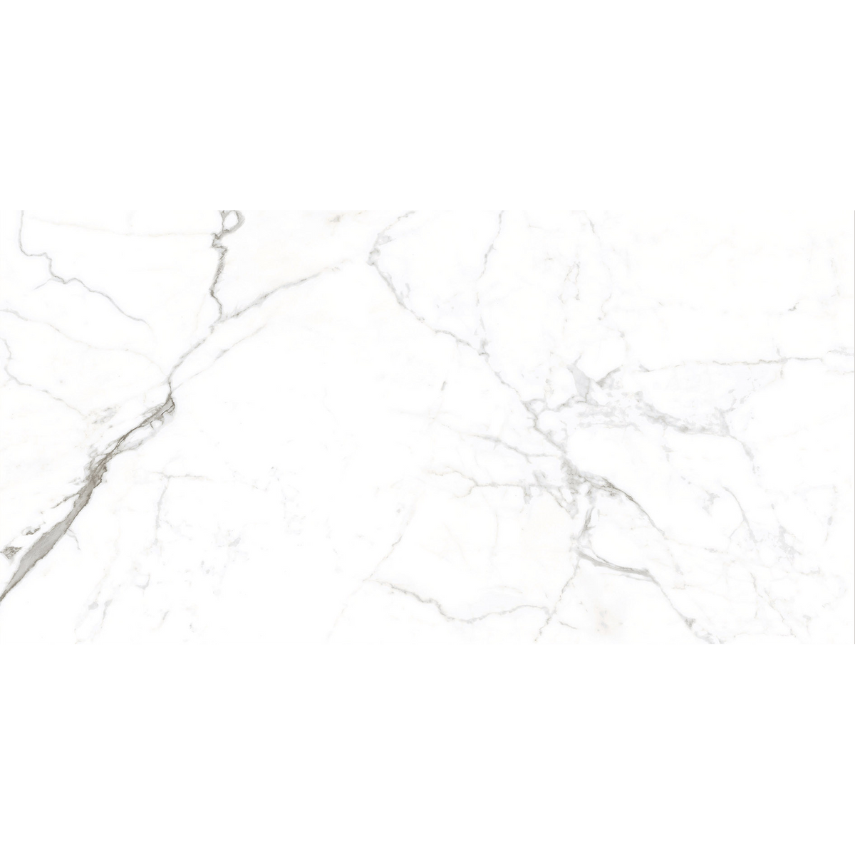 Calacatta White Polished Tile