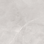 Greige Polished Tile