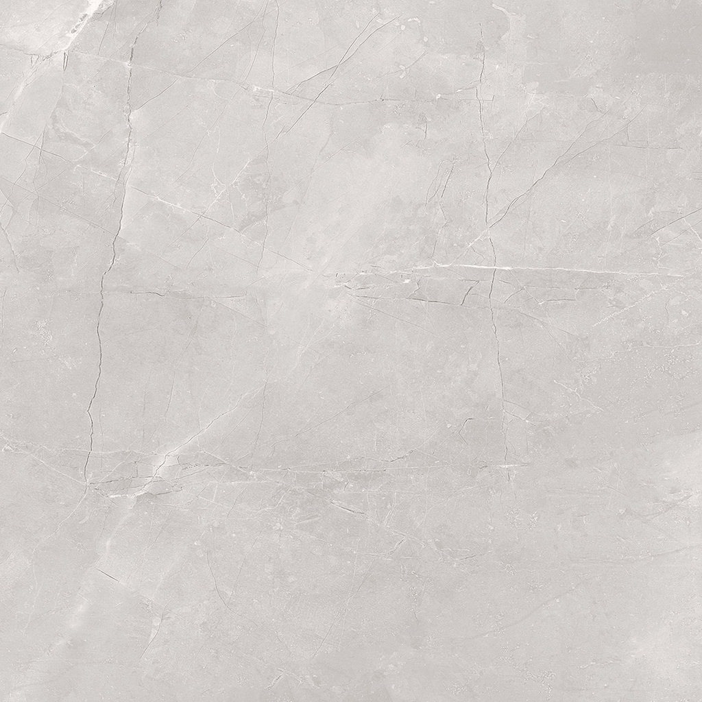 Greige Polished Tile