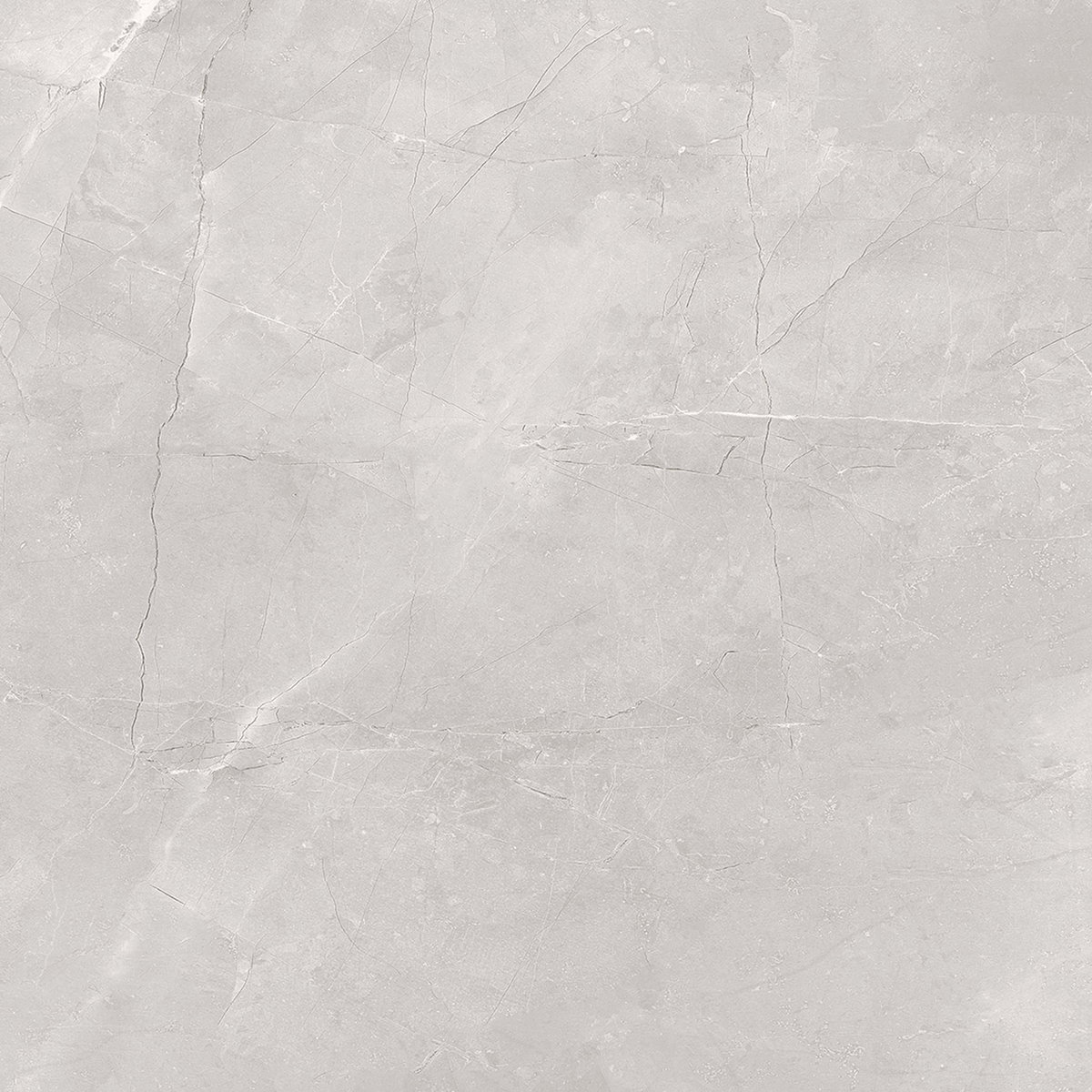 Greige Polished Tile