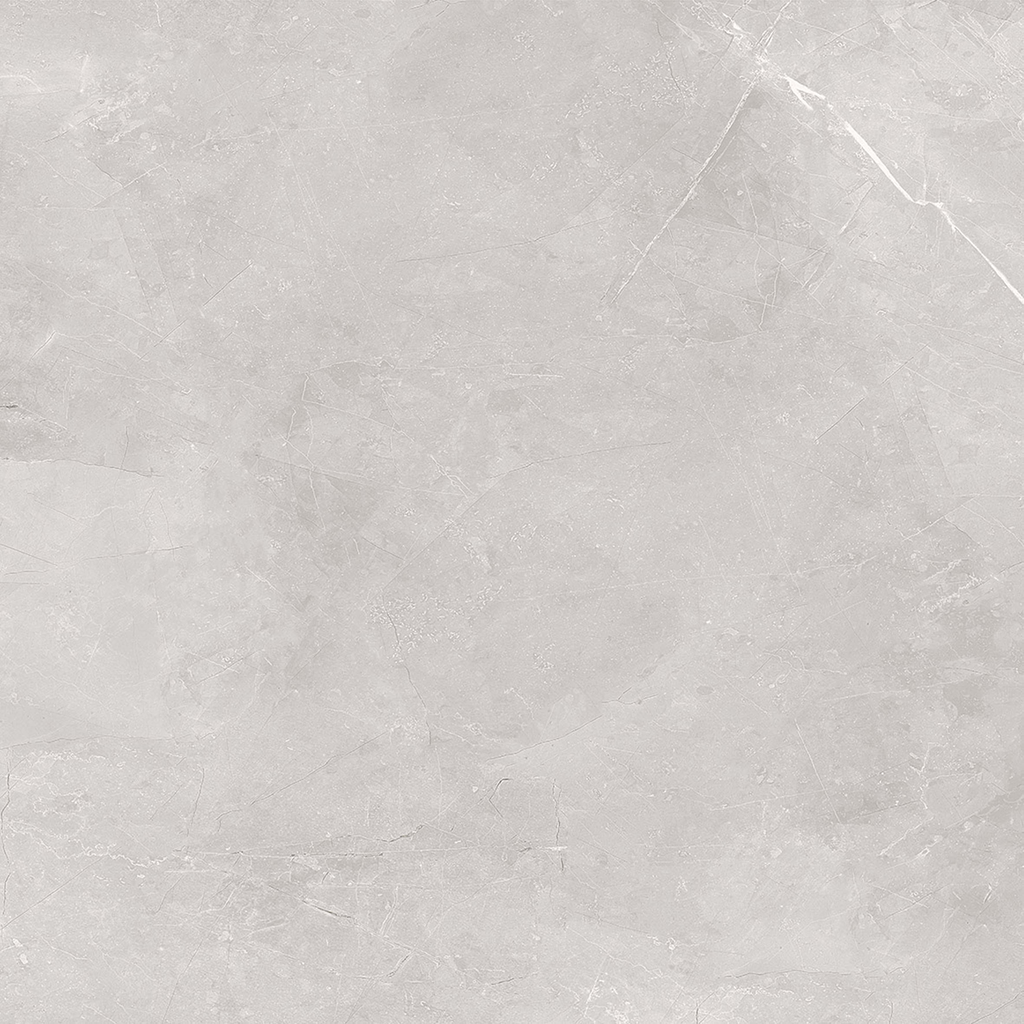 Greige Polished Tile