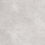Greige Polished Tile