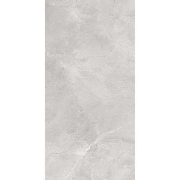 Quantum Silver Matt Tile