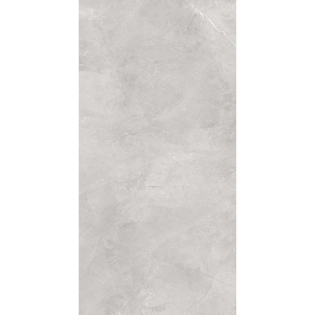 Silver Matt Tile