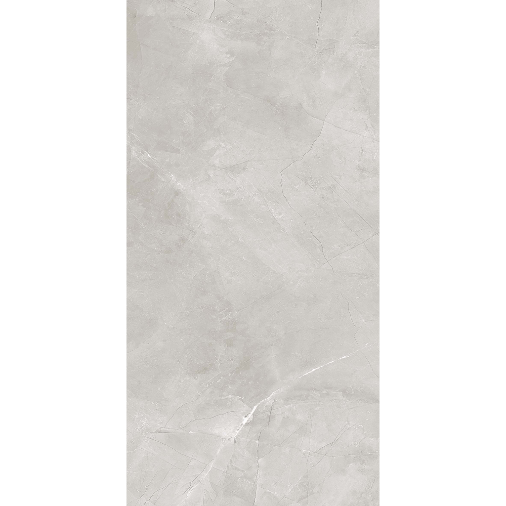 Quantum Greige Polished Tile