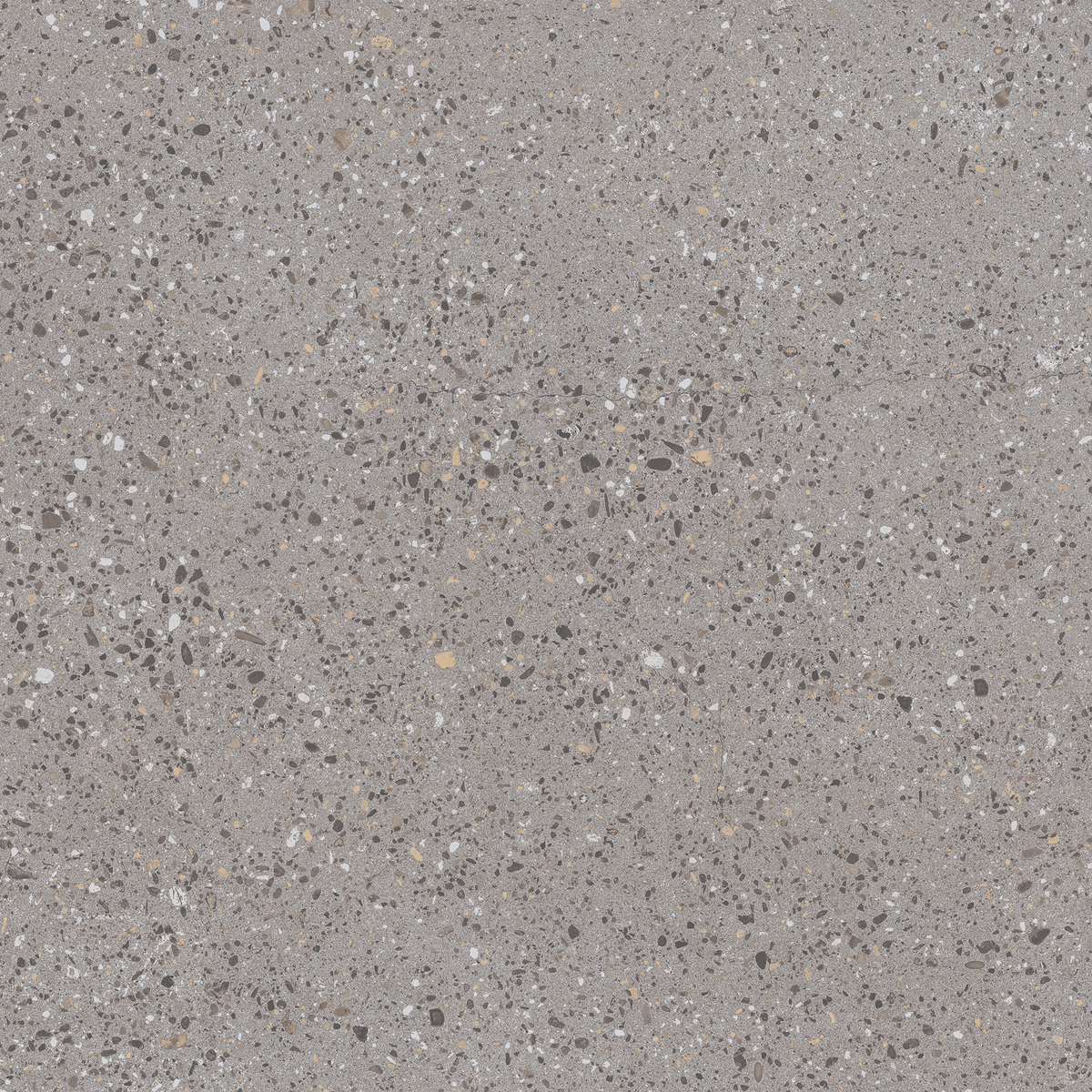 Promenado Charcoal Extra Textured Tile
