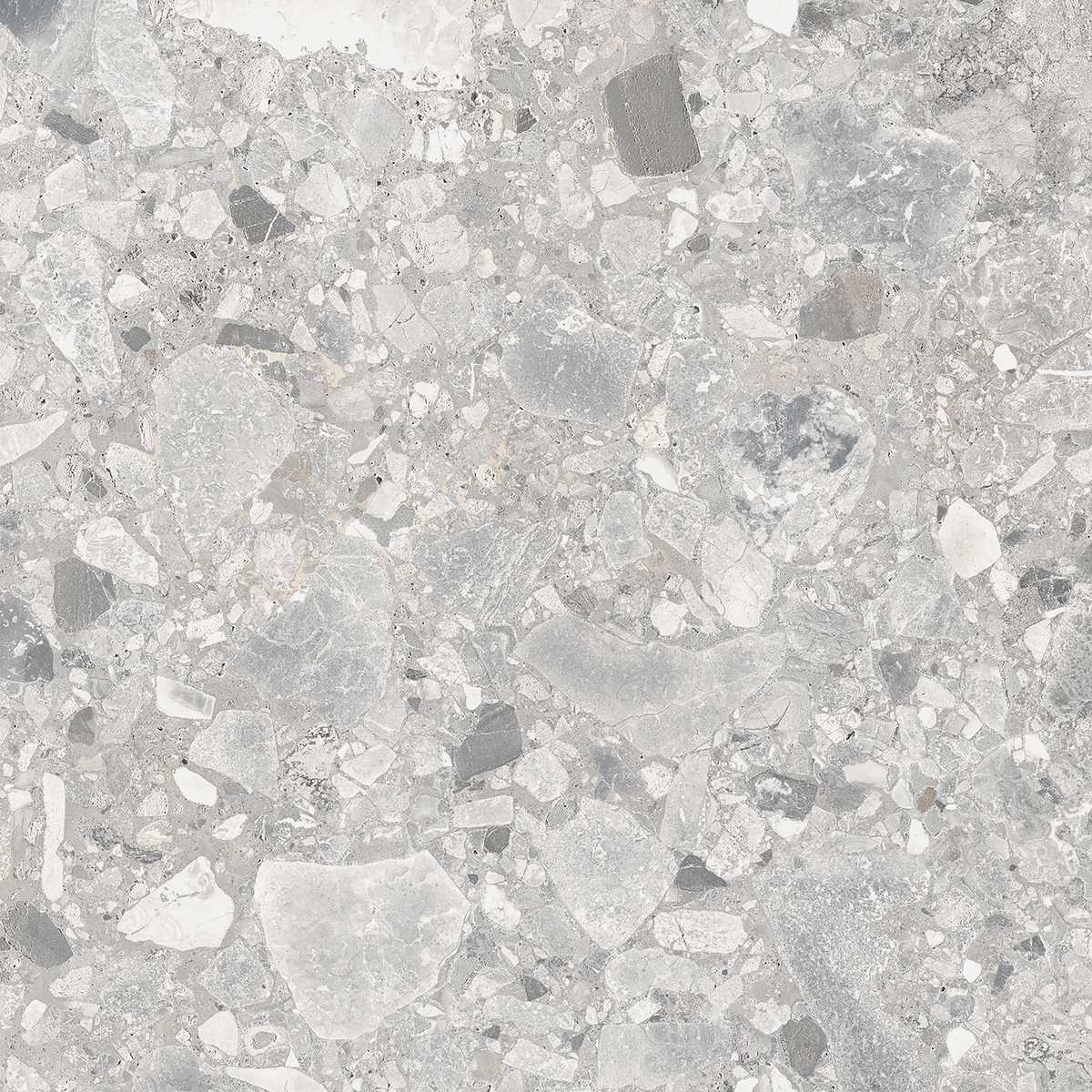 Ceppo Grigio Matt Tile Sample