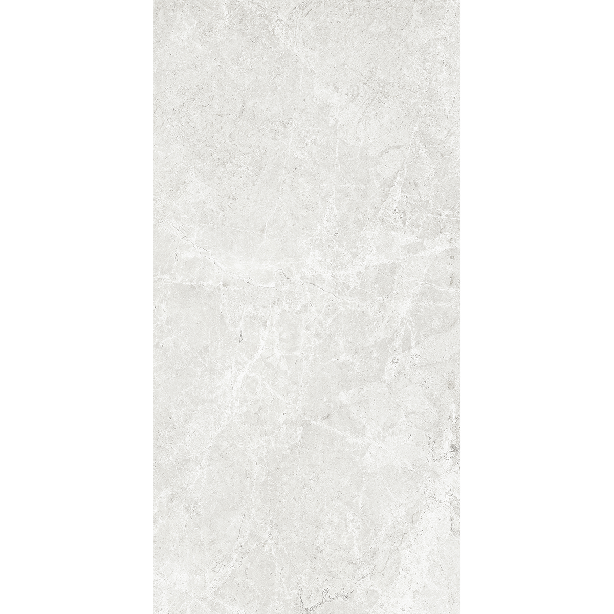Tundra Ash Silk Tile