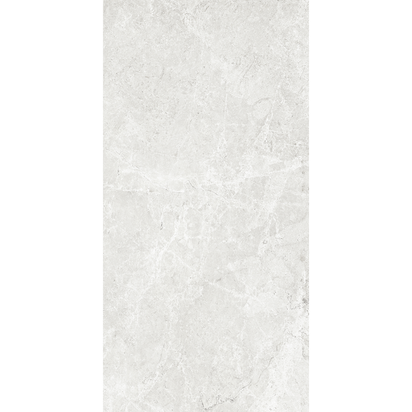 Tundra Ash Silk Tile