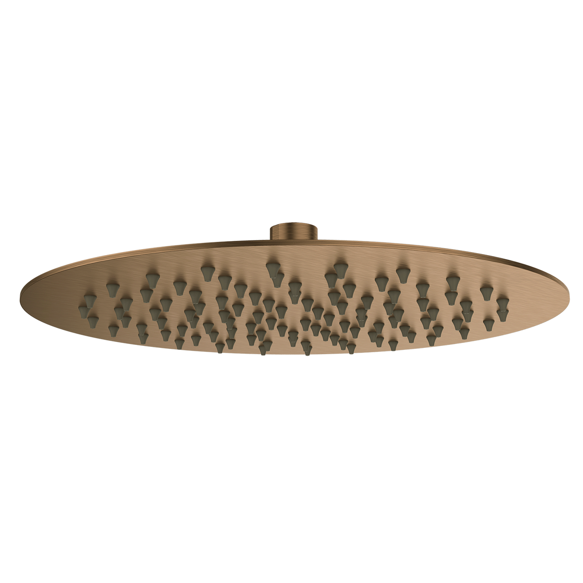Shower Head 250 Brushed Copper