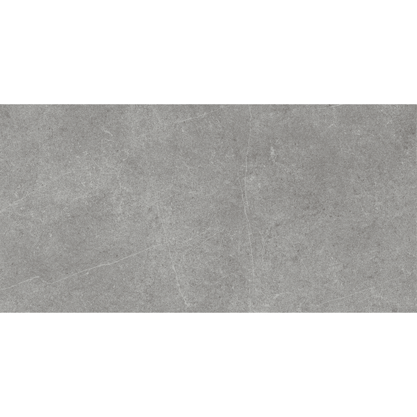 Stone Latte Grey Gloss Tile
