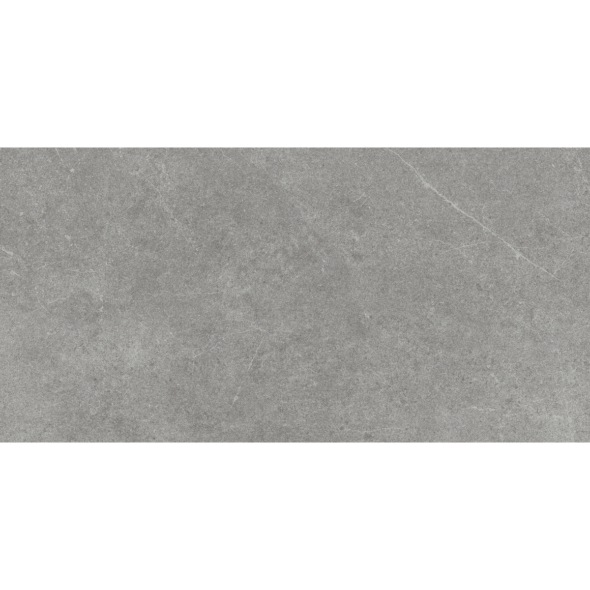 Stone Latte Grey Gloss Tile