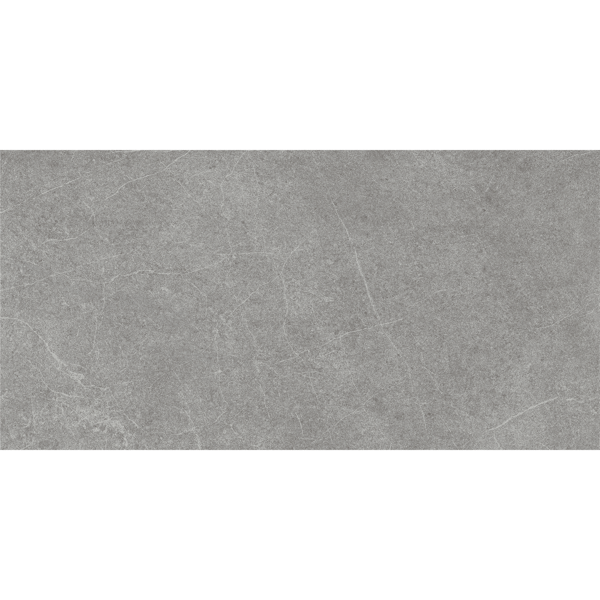 Stone Latte Grey Gloss Tile