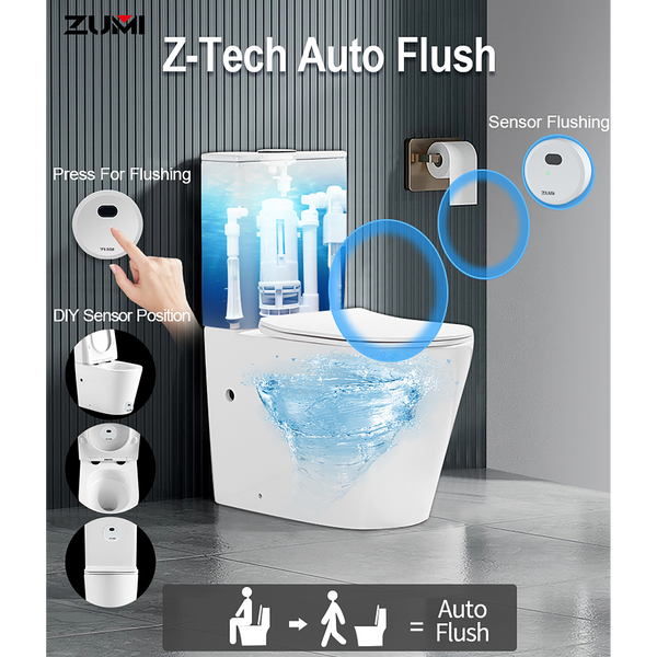 Auto Flush System