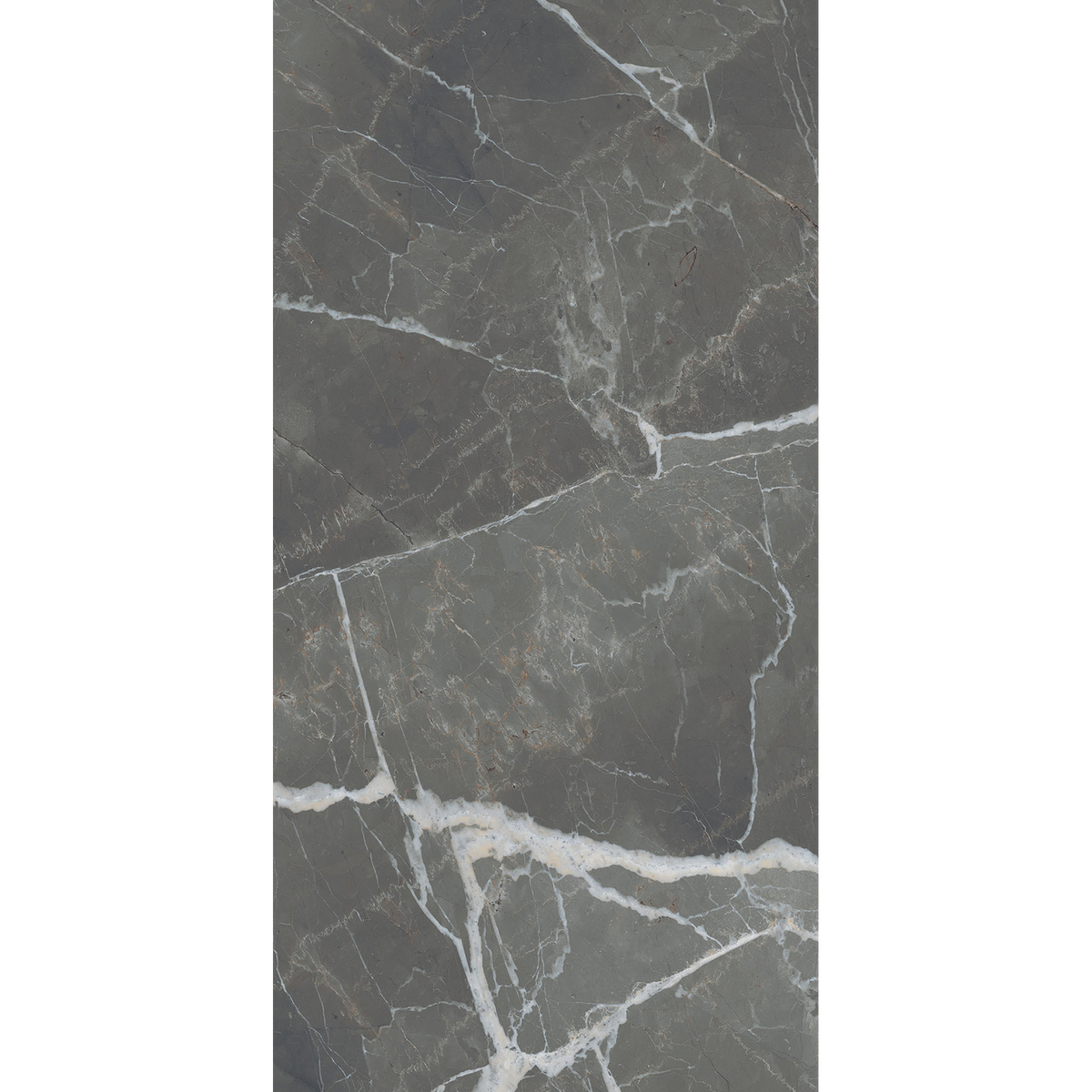 Calacatta Black Silk Tile
