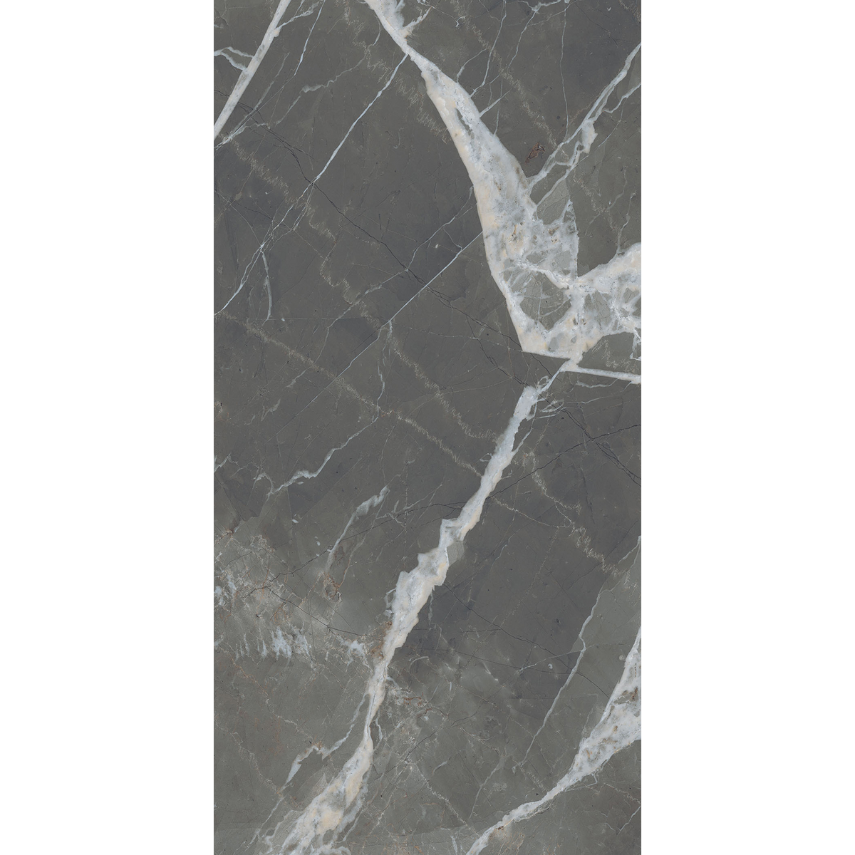 Calacatta Black Silk Tile